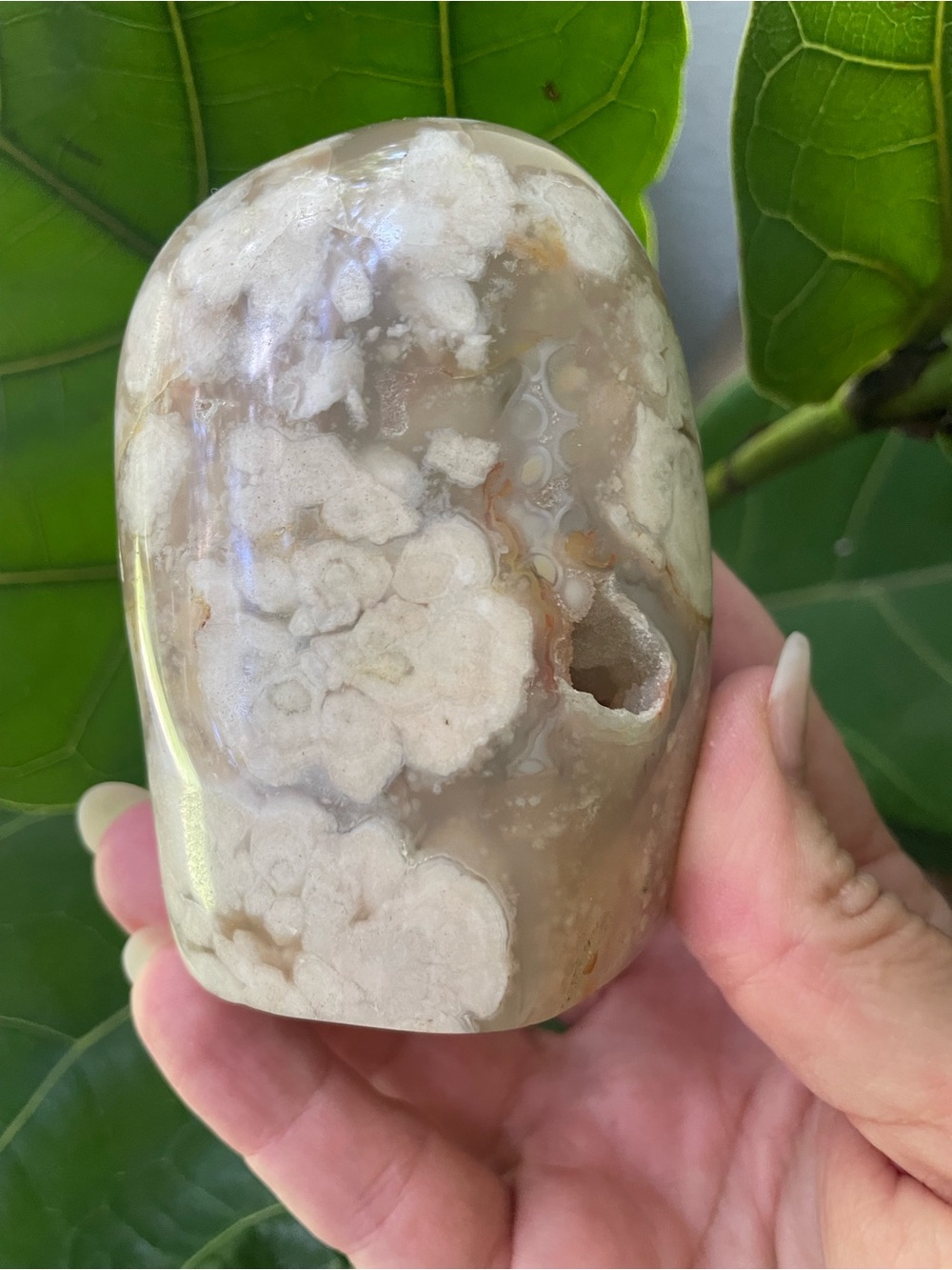 High grade polished flower agate crystal freeform with Crystal pockets